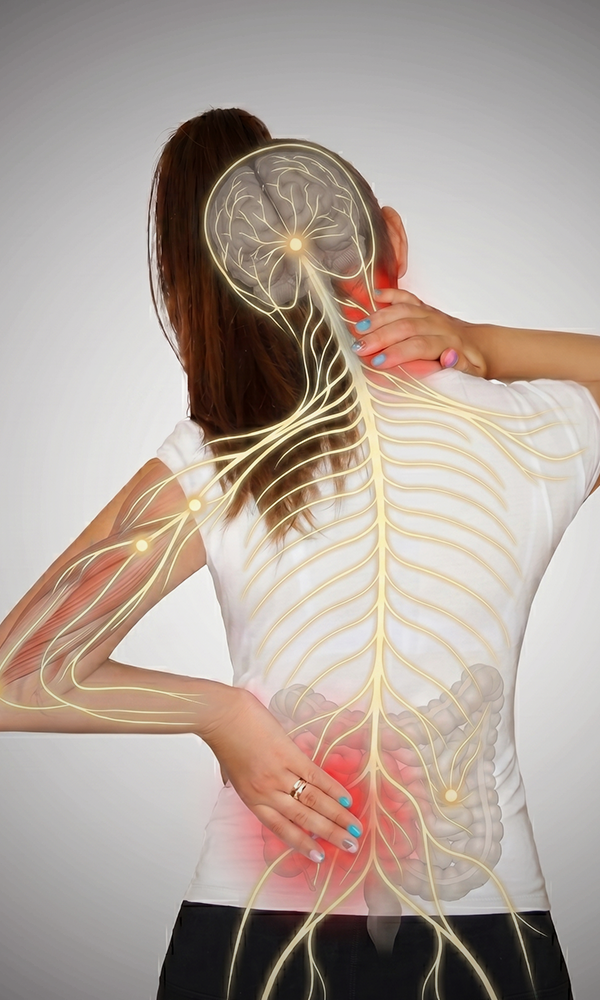 Chronic Muscle Pain and Inflammation: Why the Pain Persists β and What Internal Healing Actually Looks Like