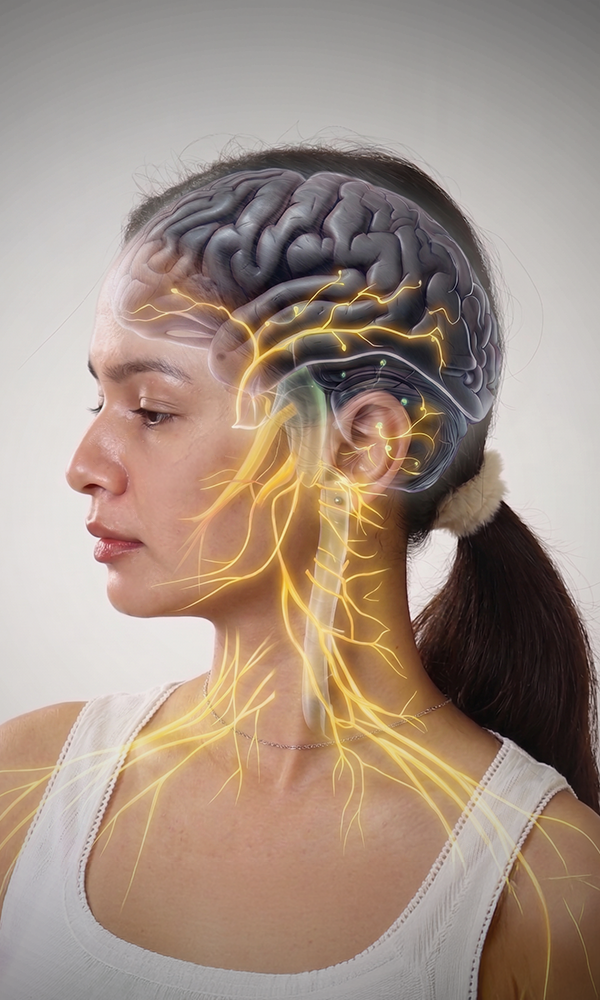 Best Ayurvedic Medicine for Stress and Anxiety: How Adaptogenic Botanicals Work at the Root