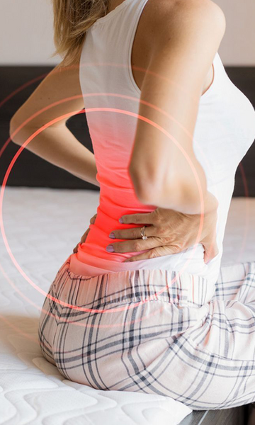 Vata Dosha & Muscle Pain: A Holistic Botanical Framework for Long-Term Relief