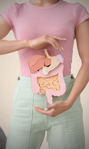How Gut Health Affects Your Hormones and Your Skin and Period