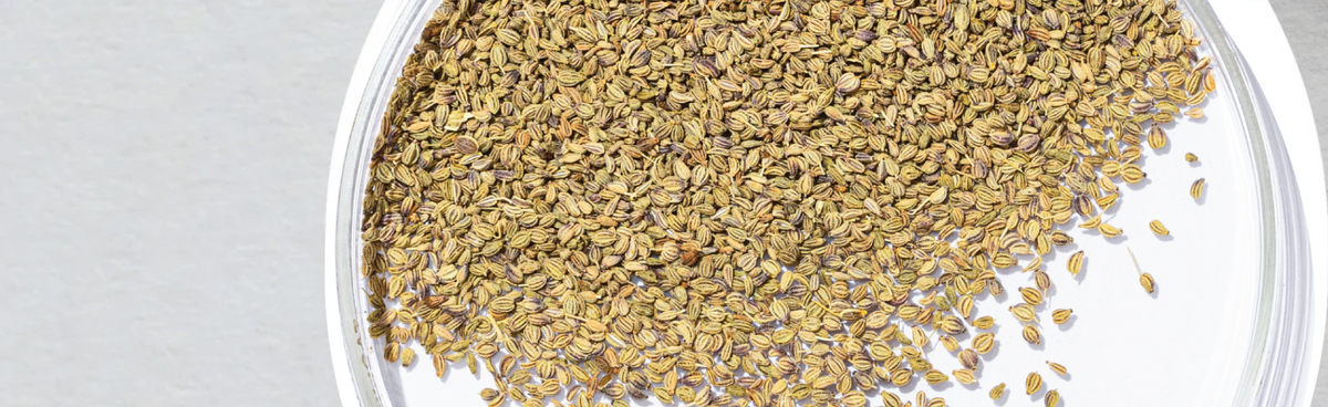 Ajwain