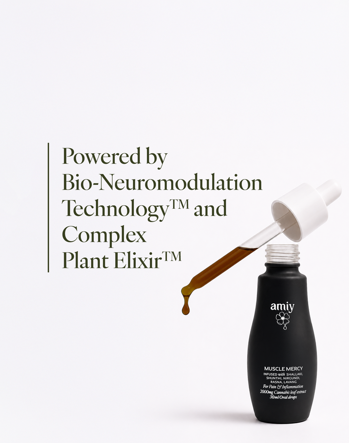 Everyday Comfort Duo