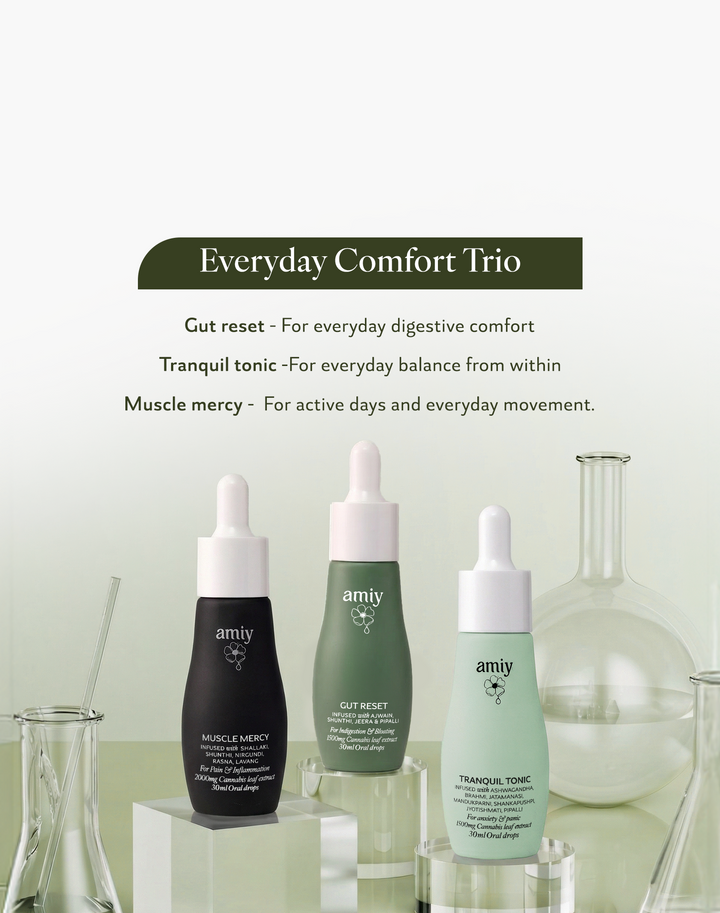 Everyday Comfort Trio