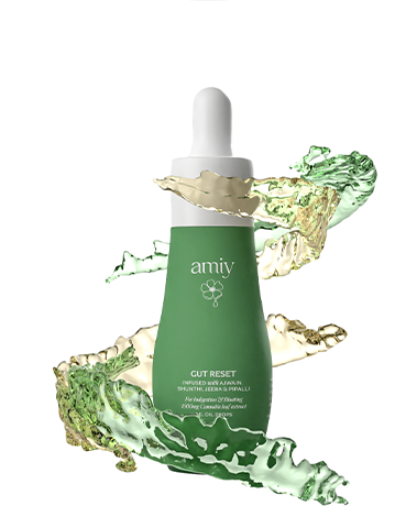 Gut Reset